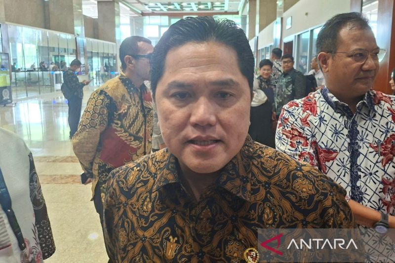 menteri-bumn-prihatin-terkait-7-pekerja-freeport-yang-terjebak-longsor