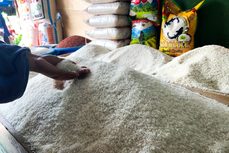harga-beras-premium-turun-menjadi-rp15717kg-medium-rp13554kg