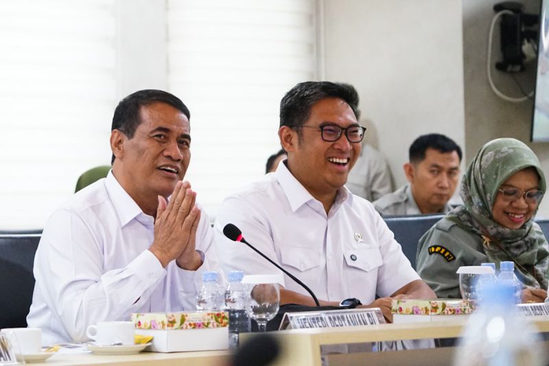 mentan-pastikan-transformasi-pertanian-dari-sawah-ke-hilirisasi