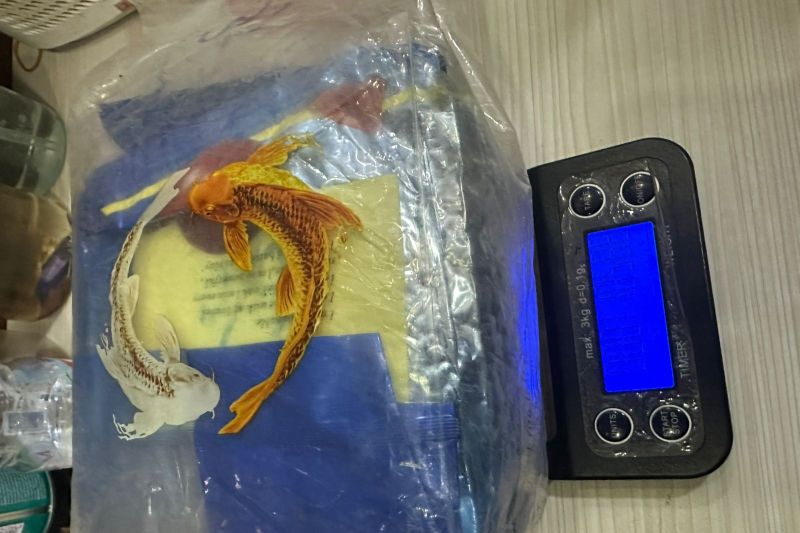 pengedar-narkoba-di-jakbar-dibekuk-lebih-dari-1-kg-sabu-diamankan