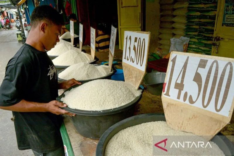 harga-beras-premium-turun-jadi-rp15988kg-medium-rp13709kg