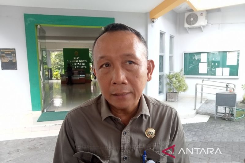 bantul-produksi-padi-116-ribu-ton-di-semester-i-2025
