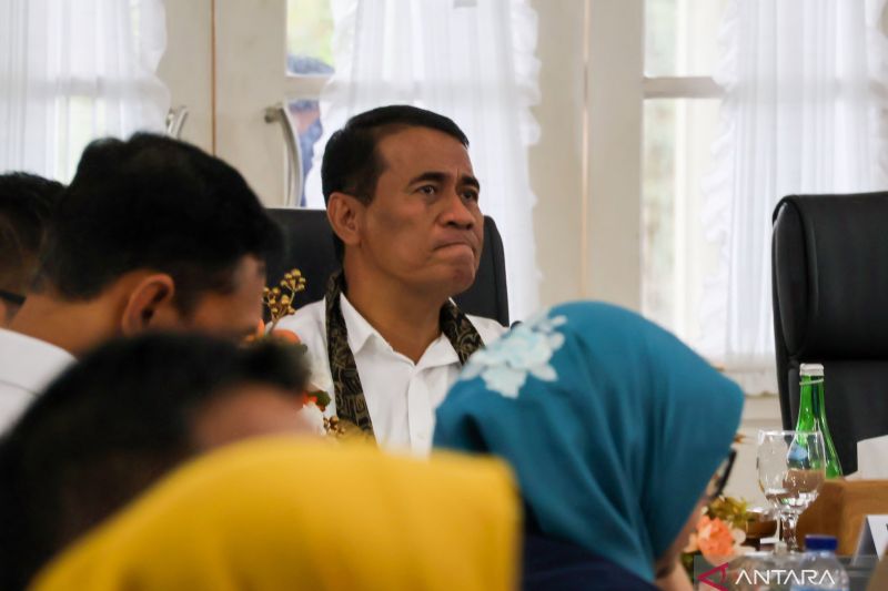 mentan-perkirakan-indonesia-capai-swasembada-pangan-pada-desember-2025