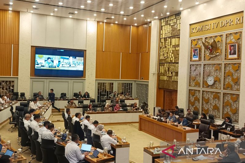 kkp-sebut-pengunggah-video-tanggul-kcn-di-cilincing-warga-pendatang