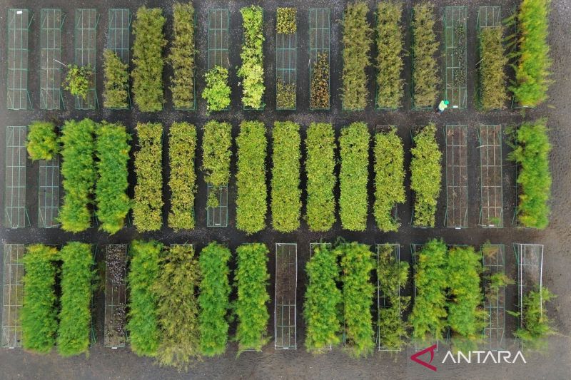 imi-ajak-adopsi-teknologi-bersih-untuk-hapus-stigma-dirty-nickel