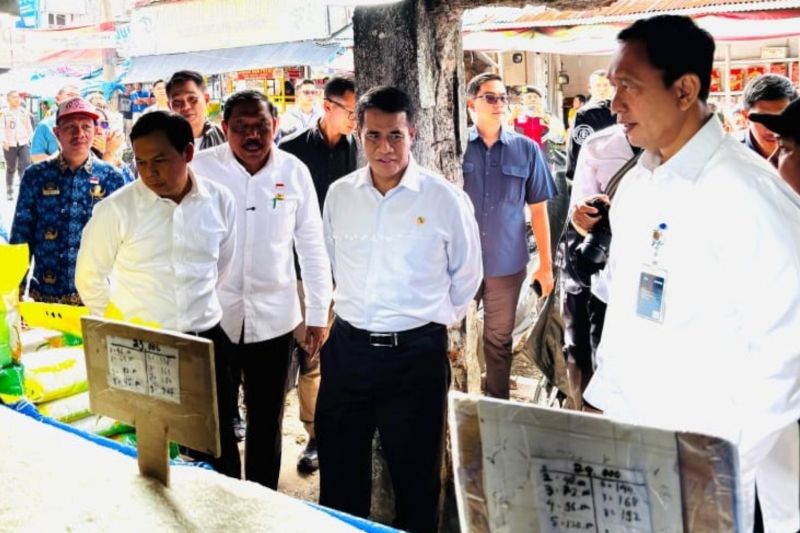 mentan-amran-sebut-stok-beras-melimpah-tanpa-impor