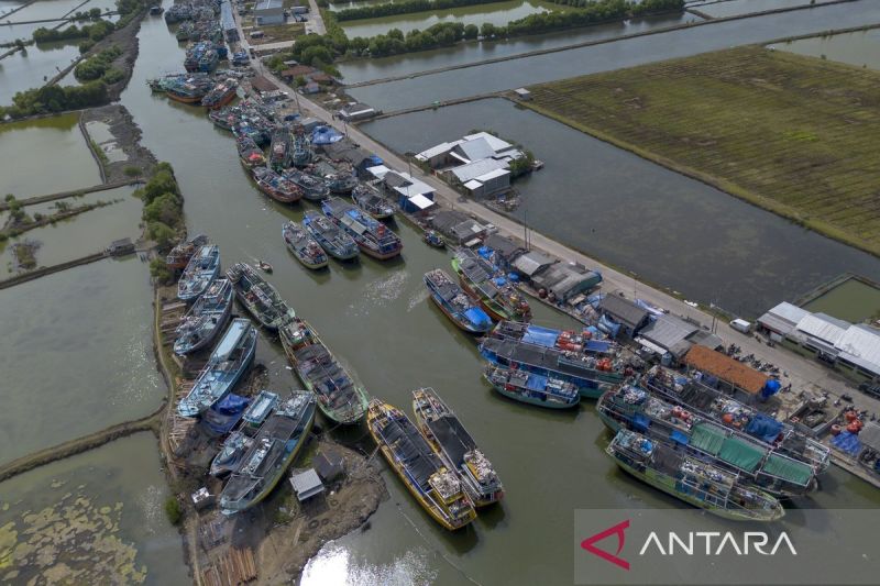 program-modernisasi-kapal-nelayan-diproyeksikan-serap-200-ribu-tenaga-kerja