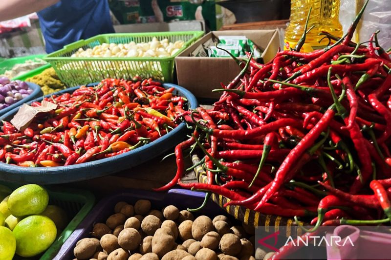 Harga beras premium turun jadi Rp15.782/kg, cabai rawit Rp41.868/kg