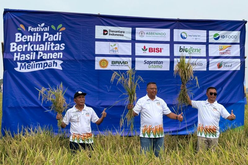 pt-sang-hyang-seri-dorong-benih-bersertifikat-agar-panen-berlimpah