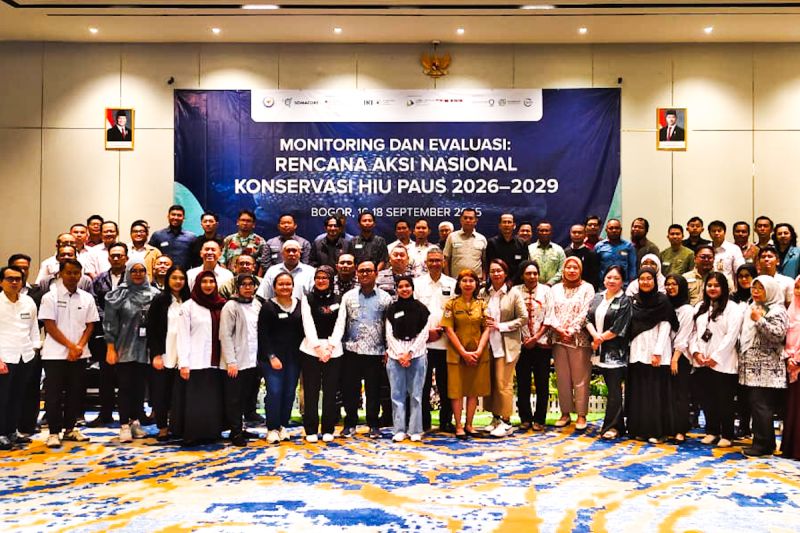 kkp-perlindungan-hiu-paus-jaga-ekosistem-laut-dan-pangan-biru