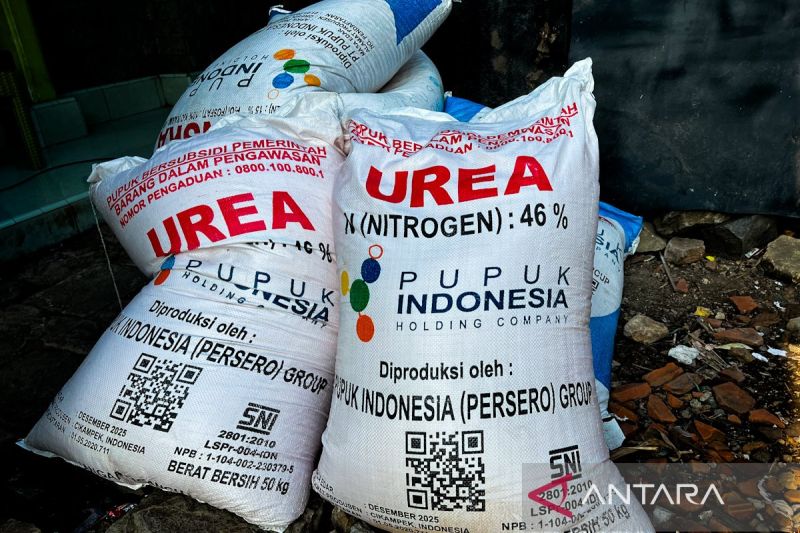 mentan-pastikan-stok-pupuk-subsidi-aman-demi-perkuat-ketahanan-pangan