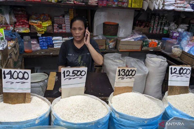 harga-beras-medium-turun-jadi-rp13657kg-cabai-rawit-rp45791kg