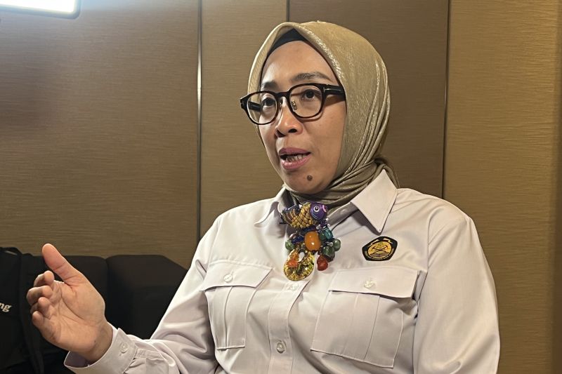 esdm-bahas-konsep-plts-untuk-kopdes-merah-putih