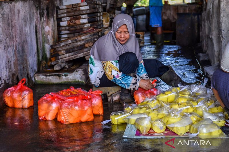 afirmasi-kebijakan-penghapusan-pajak-usaha-kecil-bagi-umkm