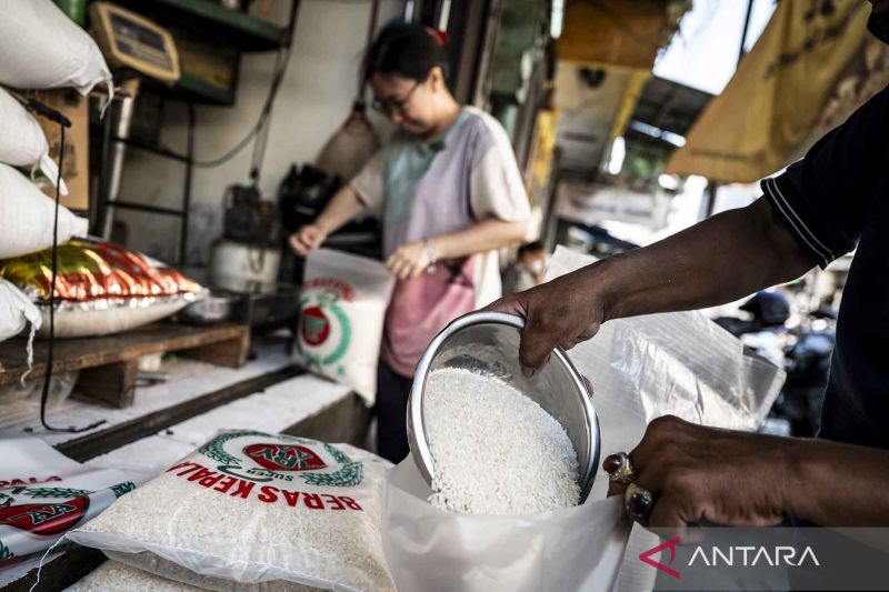 produksi-beras-di-jawa-tengah-diperkirakan-surplus-hingga-oktober-2025