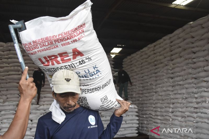 kementan-pastikan-stok-pupuk-subsidi-cukup-masuki-mt-oktober-maret