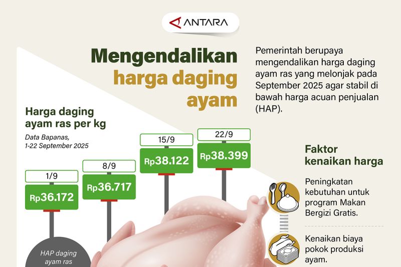 mengendalikan-harga-daging-ayam