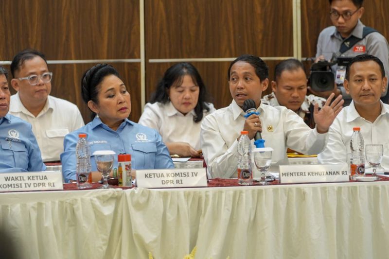 menhut-perketat-pbph-ppkh-untuk-jaga-kelestarian-hutan-dan-ekonomi