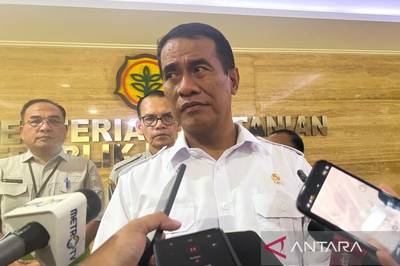 mentan-pastikan-harga-ayam-terjaga-demi-lindungi-peternak-konsumen
