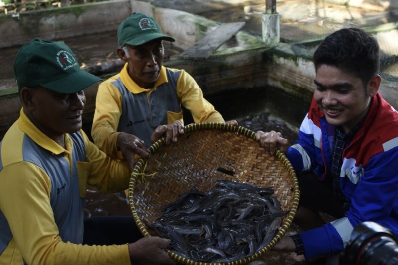 kilang-dumai-memberdayakan-potensi-pesisir-lewat-bedelau-minapolitan