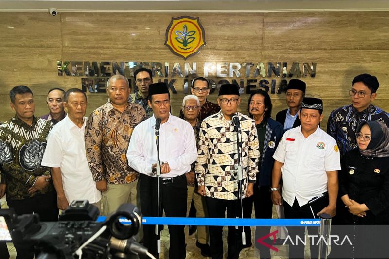 meredam-derita-petani-singkong-dan-tebu-nusantara