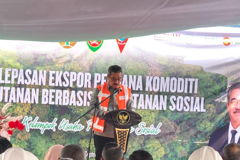 maluku-ekspor-45-ton-komoditas-perhutanan-sosial-ke-china-dan-india