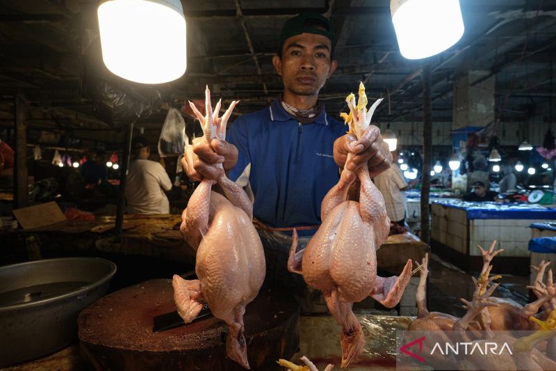 bps-cabai-hingga-daging-ayam-ras-sumbang-inflasi-bulanan-021-persen