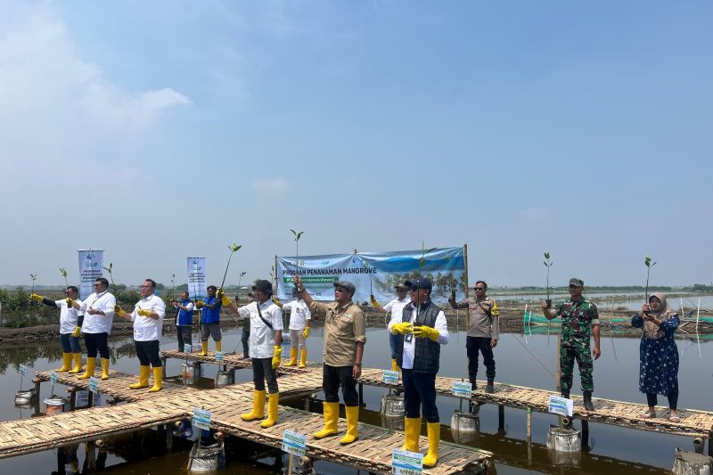 pelindo-usung-konsep-pelabuhan-hijau-untuk-perkuat-ekosistem-pesisir