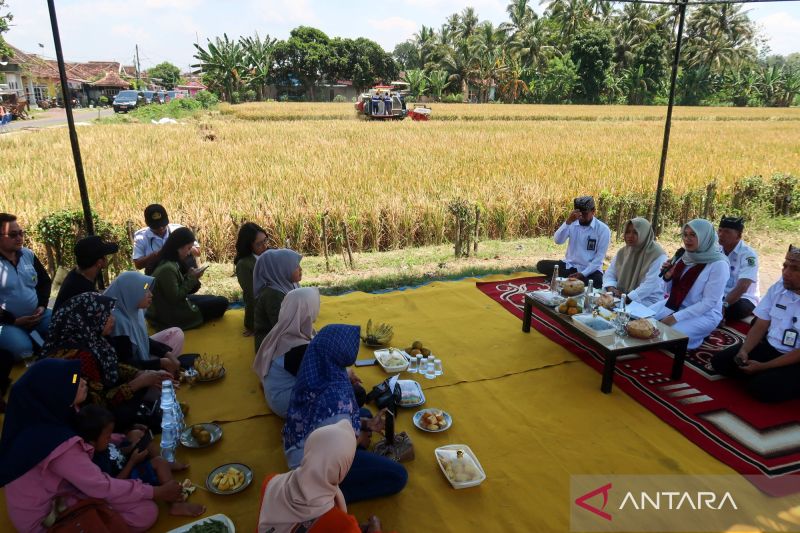35-ucapan-selamat-hari-tani-nasional-2025-buat-status-media-sosial