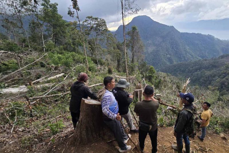 Polres Aceh Tengah tangkap kades terkait perambahan hutan lindung 
