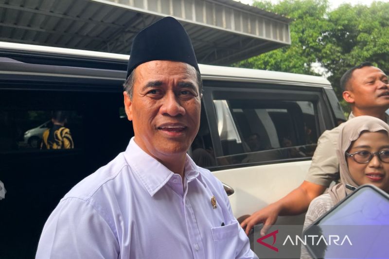 mentan-sebut-pengendalian-impor-untuk-gairahkan-rantai-pasok-ubi-kayu
