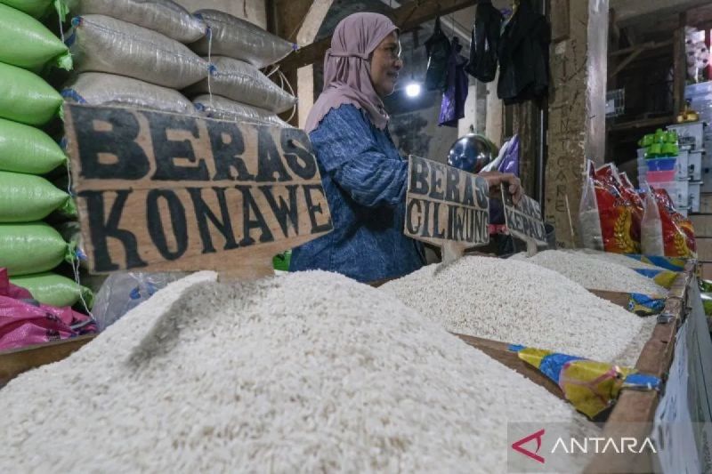 harga-beras-medium-turun-jadi-rp13731kg-cabai-rawit-rp48171kg