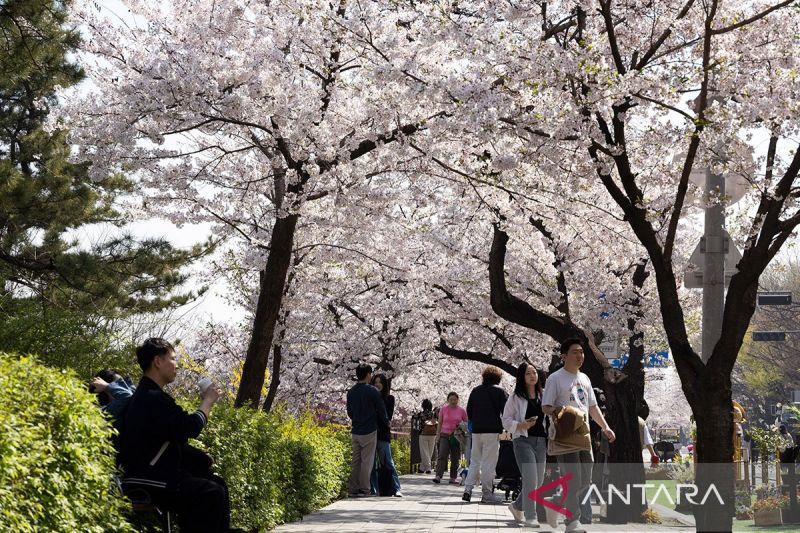 Jelang APEC, PM Korea Selatan tolak aksi anti wisatawan asing