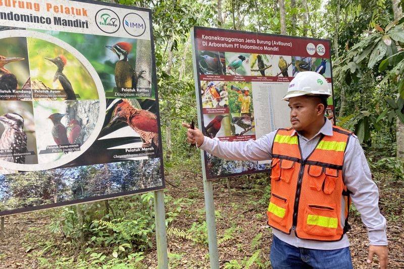 indominco-reklamasi-lahan-bekas-tambang-9558-ha-hingga-juni-2025