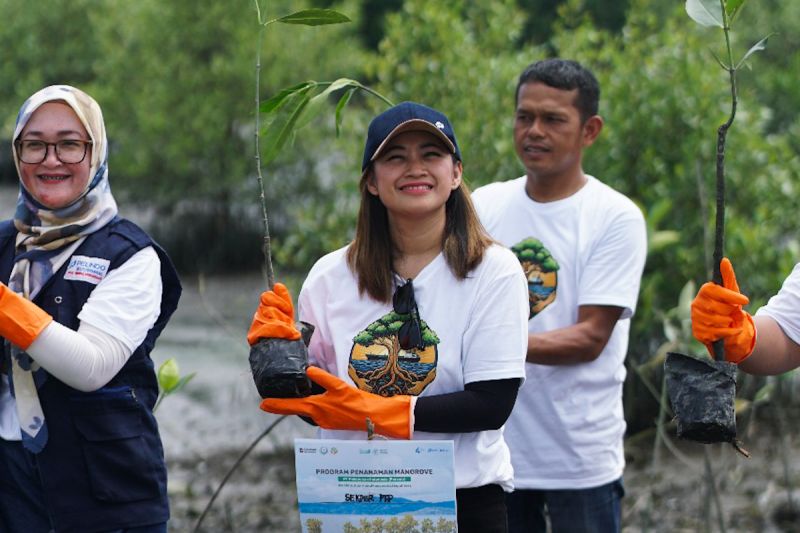 ptp-nonpetikemas-tanam-bibit-mangrove-jaga-ekosistem-pesisir