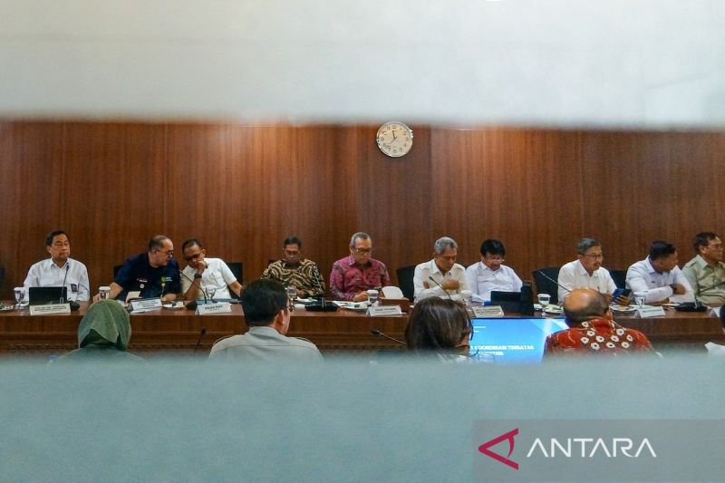 pemerintah-siapkan-481-ribu-hektare-lahan-di-wanam-untuk-swasembada