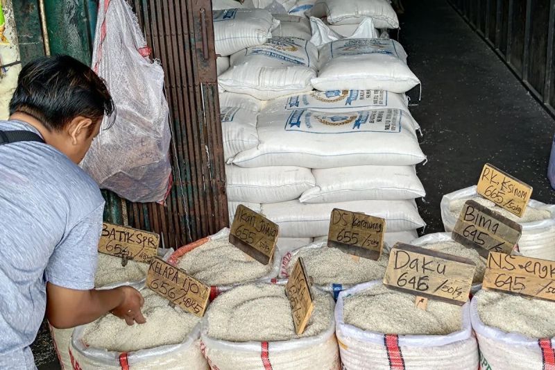 harga-beras-medium-turun-jadi-rp13583kg-cabai-rawit-rp45705kg