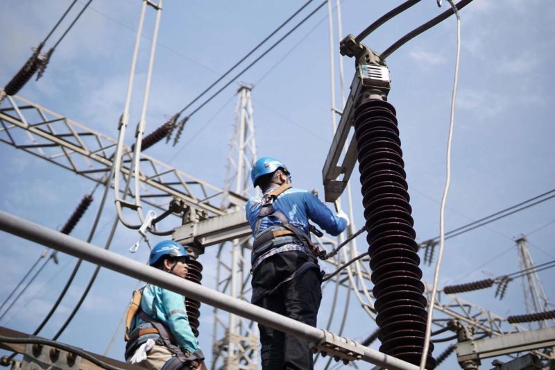 pln-group-buka-rekrutmen-1-5-oktober-2025-ini-syarat-dan-jurusannya