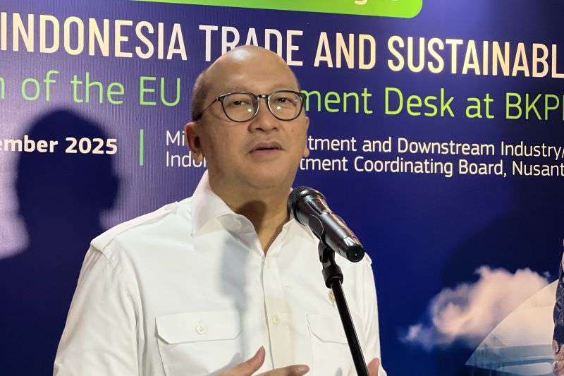 danantara-freeport-setuju-lepas-12-persen-saham-ke-indonesia