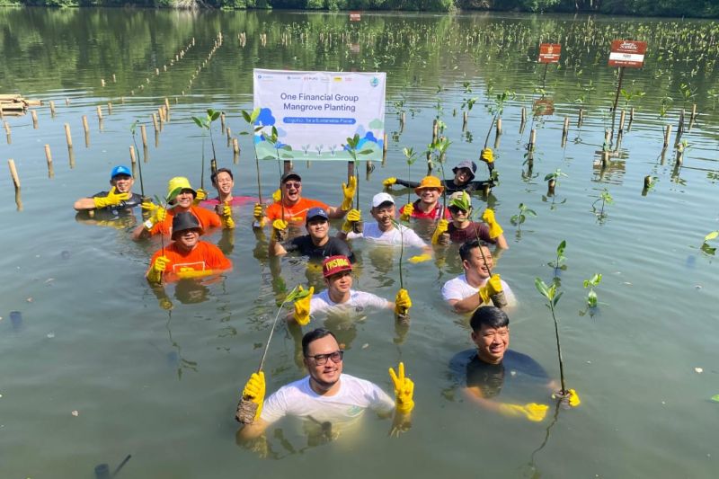 zurich-komitmen-aksi-lingkungan-lewat-gerakan-tanam-mangrove-di-6-kota