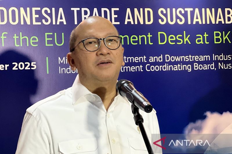 danantara-freeport-setuju-lepas-12-persen-saham-ke-indonesia