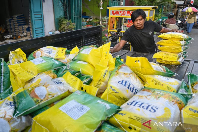 bps-beras-jadi-salah-satu-komoditas-peredam-inflasi-september-2025