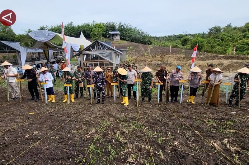 kodim-aceh-utara-manfaatkan-area-hutan-jadi-lahan-demplot