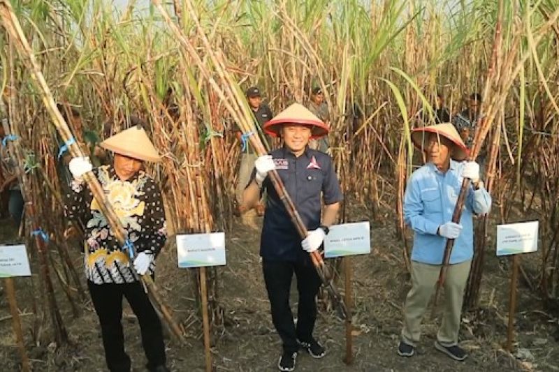 wakil-ketua-mpr-ri-dorong-petani-tebu-madiun-wujudkan-swasembada-gula