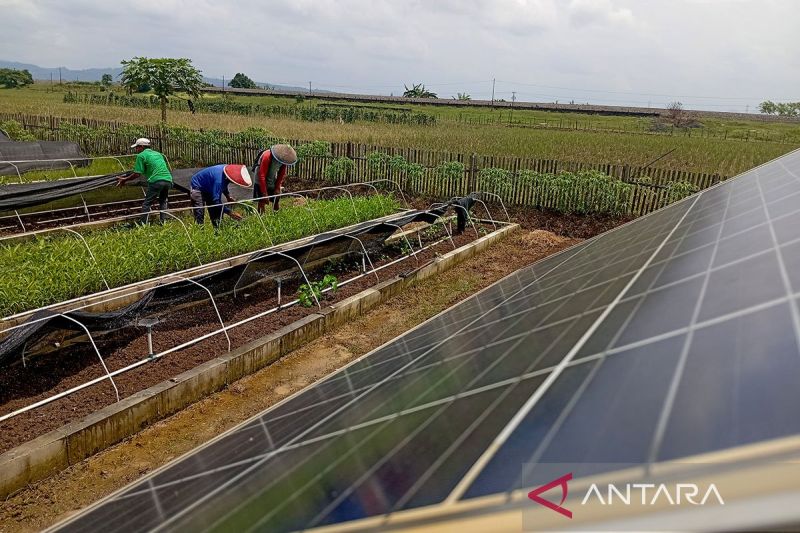 petani-kalijaran-raih-harapan-baru-lewat-energi-surya-dan-inovasi