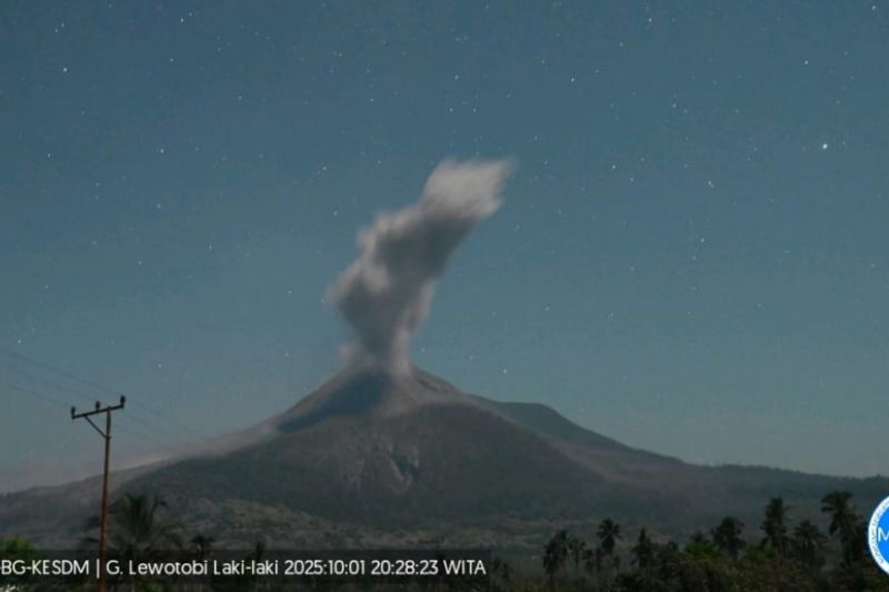 Gunung Lewotobi Laki-laki melontarkan abu setinggi 1.500 meter