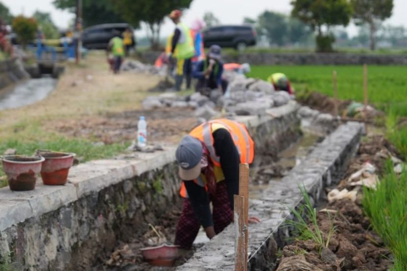 menteri-pu-perkuat-infrastruktur-irigasi-di-8000-lokasi-lewat-p3tgai