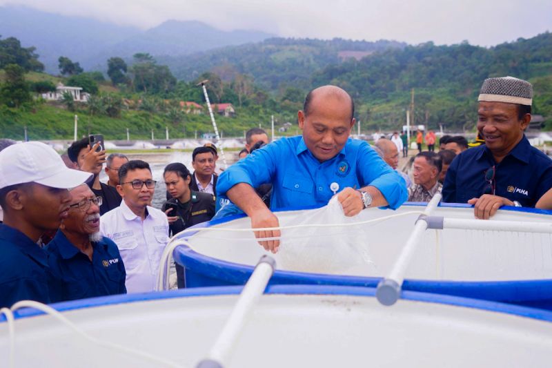 kkp-dukung-hatchery-udang-swasta-tingkatkan-mutu-benih-dan-ekspor