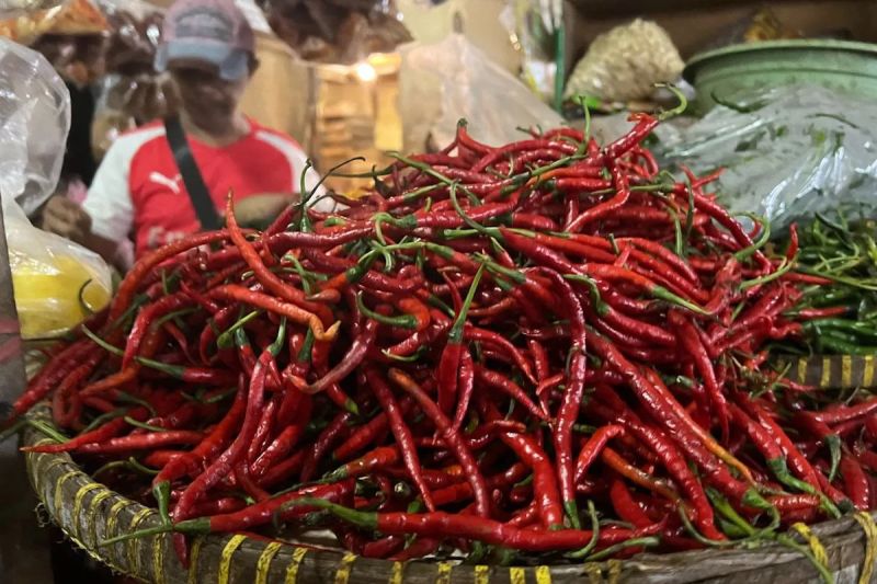 harga-cabai-rawit-turun-jadi-rp46906kg-bawang-merah-rp39014kg