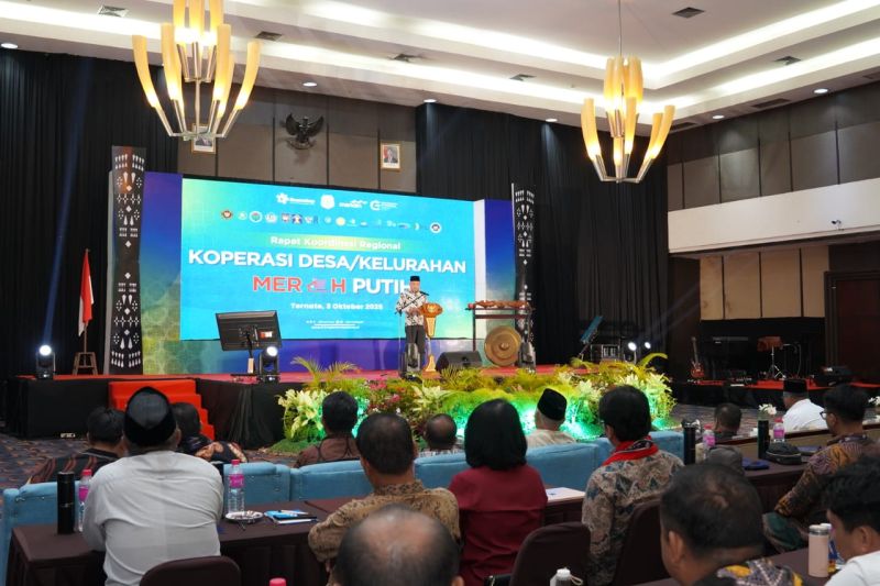 wamenkop-sebut-kdkmp-di-malut-buka-jalan-modal-triliunan